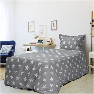 Bed sheet set - pillowcase 170x240 Beauty Home Balthazar Art 6162 Grey